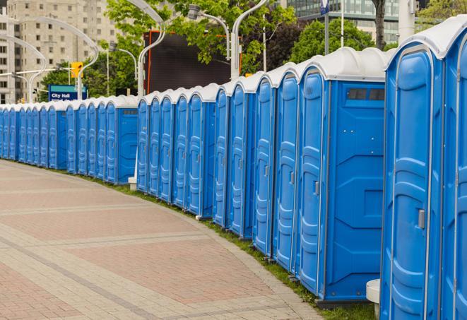 a row of portable restrooms ready for eventgoers in Bryn Mawr